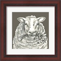 Framed 'Sheep' border=