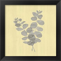 Framed 'Natural Inspiration Eucalyptus Gray & Yellow I' border=