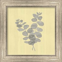 Framed 'Natural Inspiration Eucalyptus Gray & Yellow I' border=