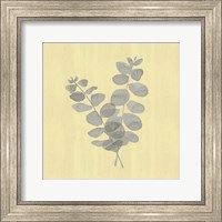 Framed 'Natural Inspiration Eucalyptus Gray & Yellow I' border=