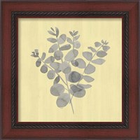 Framed 'Natural Inspiration Eucalyptus Gray & Yellow II' border=