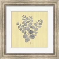 Framed 'Natural Inspiration Eucalyptus Gray & Yellow II' border=