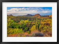 Framed Jewel Evening