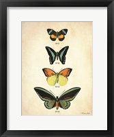 Butterflies 2 Framed Print