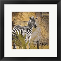 Framed 'Taste of Africa Zebra' border=