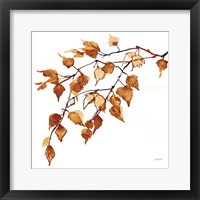 Colors of the Fall VIII Framed Print