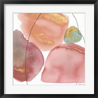 Petal Passion XI Framed Print