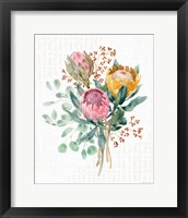 Framed 'Petal Passion VII' border=