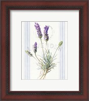 Framed 'Floursack Lavender III' border=