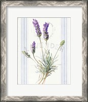 Framed 'Floursack Lavender III' border=