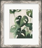 Framed 'Tropical Study IV' border=