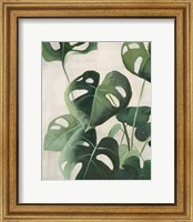 Framed Tropical Study IV