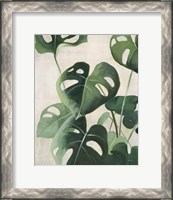 Framed 'Tropical Study IV' border=