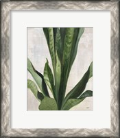 Framed 'Tropical Study III' border=