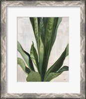 Framed 'Tropical Study III' border=