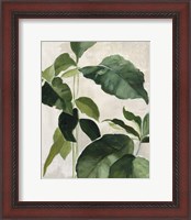 Framed 'Tropical Study II' border=