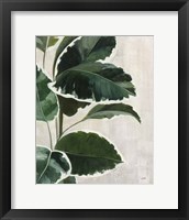 Tropical Study I Framed Print