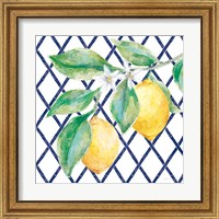 Framed 'Everyday Chinoiserie Lemons II' border=