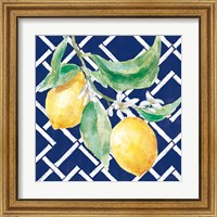 Framed 'Everyday Chinoiserie Lemons I' border=