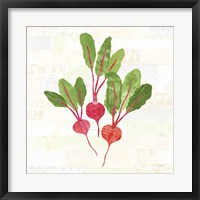 Kitchen Garden V No Words Framed Print