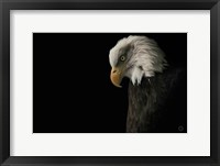 Framed Eagle Bow