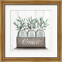 Framed 'Grace' border=