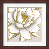 Framed 'Gold Peony' border=