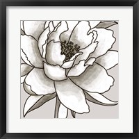 Framed 'Peony II' border=