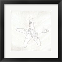 Framed Coastal Starfish