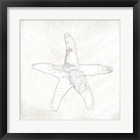 Framed 'Coastal Starfish' border=