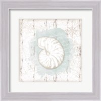 Framed 'Calming Coastal Shell' border=