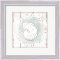 Framed 'Calming Coastal Shell' border=