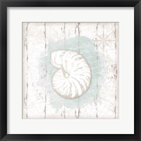 Framed 'Calming Coastal Shell' border=