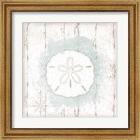 Framed 'Calming Coastal Sand Dollar' border=