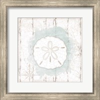 Framed 'Calming Coastal Sand Dollar' border=