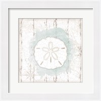 Framed 'Calming Coastal Sand Dollar' border=