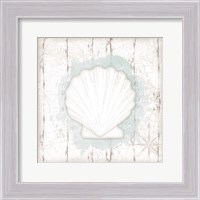 Framed 'Calming Coastal Shell II' border=