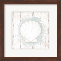 Framed 'Calming Coastal Shell II' border=