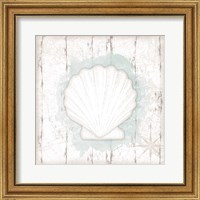 Framed 'Calming Coastal Shell II' border=