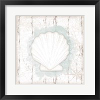 Framed 'Calming Coastal Shell II' border=