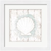 Framed 'Calming Coastal Shell II' border=