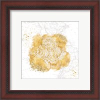 Framed 'Golden Coral' border=