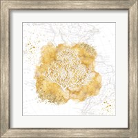 Framed 'Golden Coral' border=