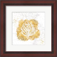 Framed 'Golden Coral II' border=