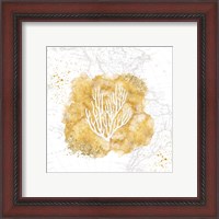 Framed 'Golden Coral III' border=