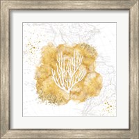 Framed 'Golden Coral III' border=