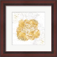 Framed 'Golden Coral IV' border=