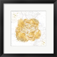 Framed 'Golden Coral IV' border=