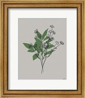 Framed 'Line Botanical I' border=