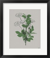 Line Botanical II Framed Print